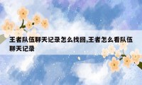 王者队伍聊天记录怎么找回,王者怎么看队伍聊天记录